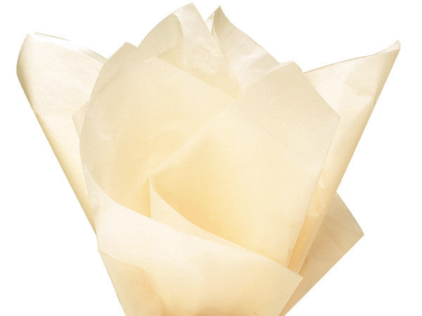 Parchment Solid Tissue 20"x30"